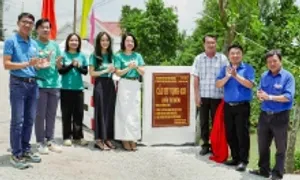 Xây mới 12 cầu Hy Vọng